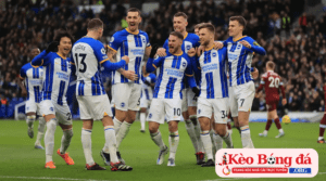 Câu lạc bộ bóng đá Brighton Hove Albion