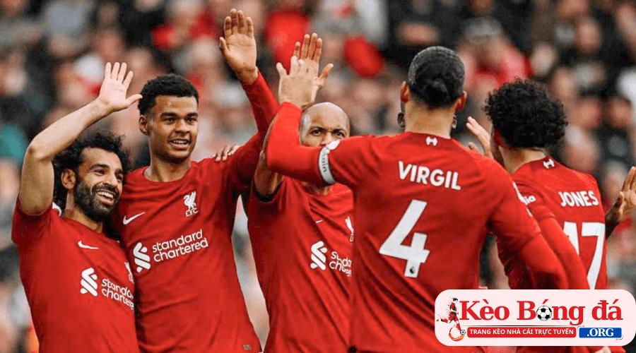 Câu lạc bộ bóng đá Liverpool