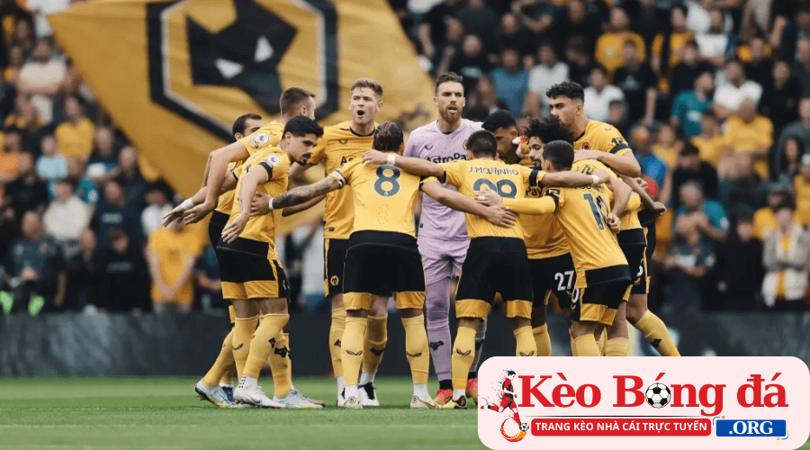 Câu lạc bộ bóng đá Wolverhampton Wanderers F.C