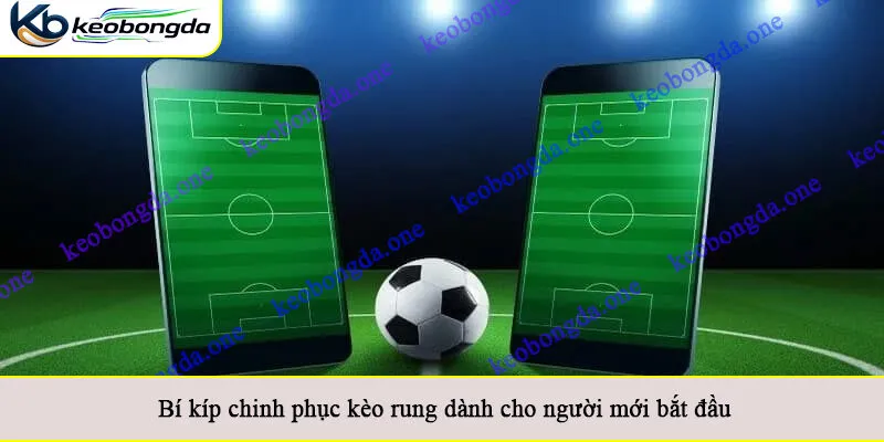 Bí kíp chinh phục kèo rung dành cho người mới bắt đầu