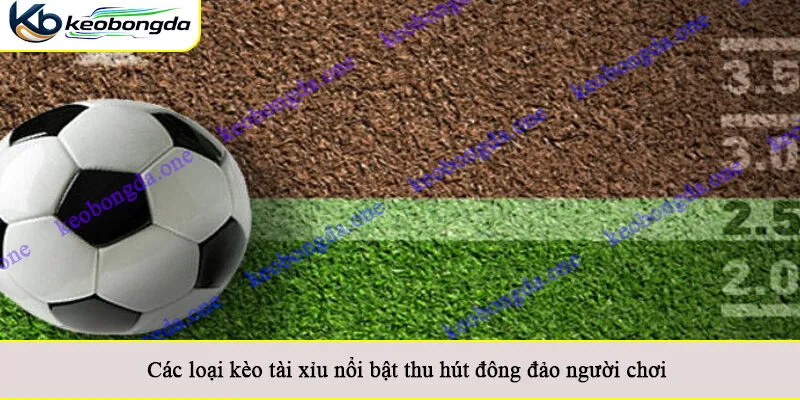Các loại kèo tài xỉu nổi bật thu hút đông đảo người chơi