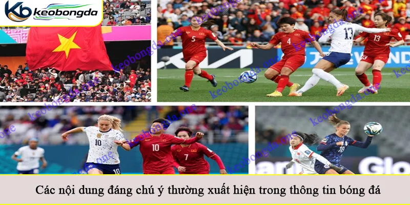 Các nội dung đáng chú ý thường xuất hiện trong thông tin bóng đá