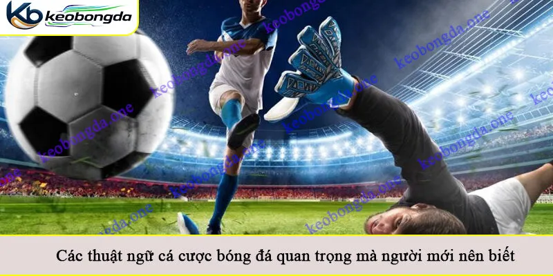 Các thuật ngữ cá cược bóng đá quan trọng mà người mới nên biết