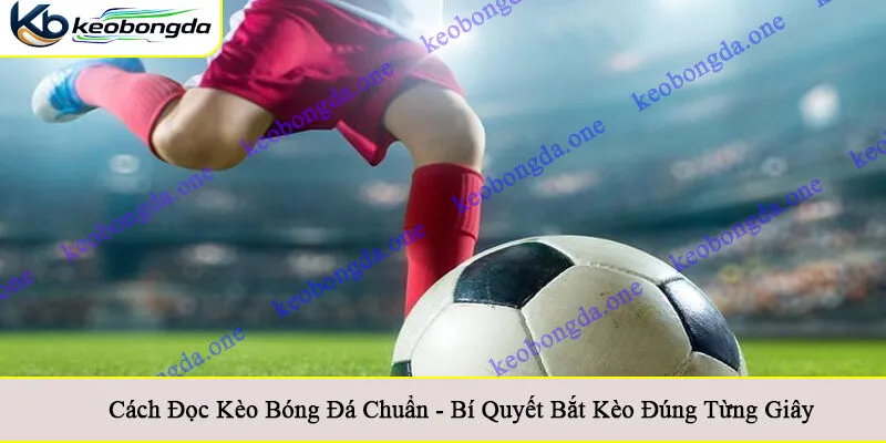 Cách đọc kèo bóng đá chuẩn