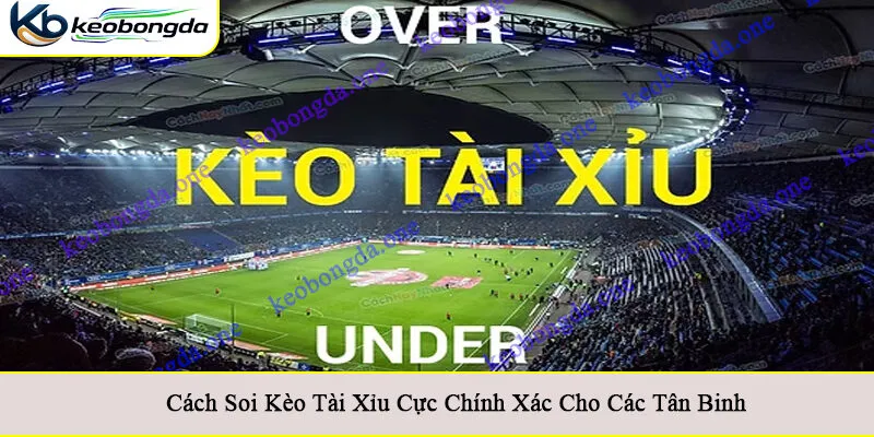 cách soi kèo Tài Xỉu
