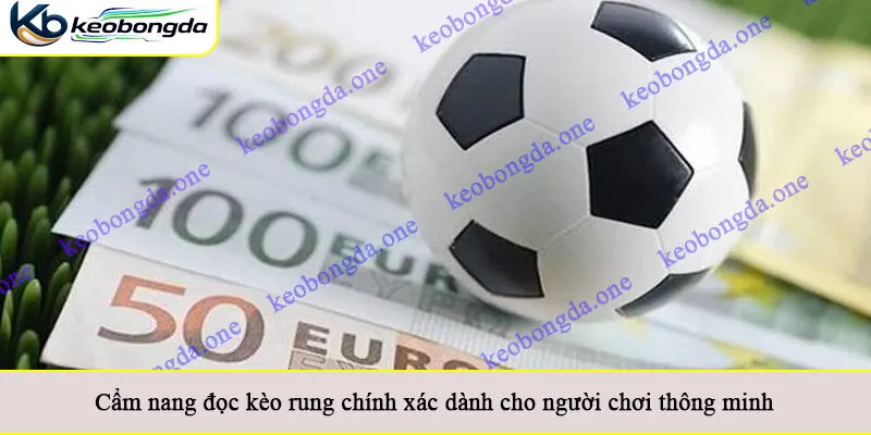 Cẩm nang đọc kèo rung chính xác dành cho người chơi thông minh
