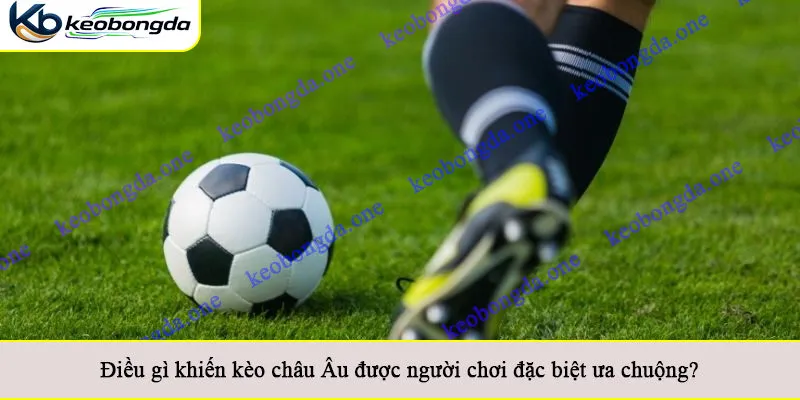 Điều gì khiến kèo châu Âu được người chơi đặc biệt ưa chuộng?