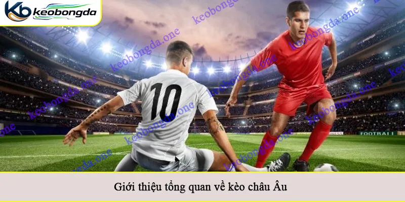 Giới thiệu tổng quan về kèo châu Âu