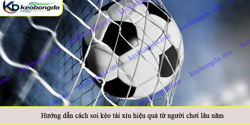 Hướng dẫn cách soi kèo tài xỉu hiệu quả từ người chơi lâu năm