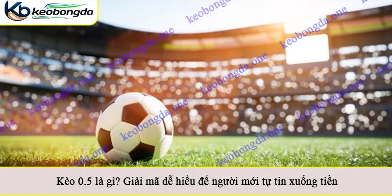 Kèo 0.5 là gì? Giải mã dễ hiểu để người mới tự tin xuống tiền