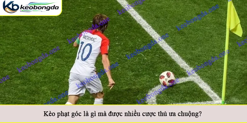 Kèo phạt góc là gì mà được nhiều cược thủ ưa chuộng?