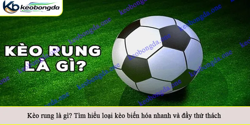 Kèo rung là gì? Tìm hiểu loại kèo biến hóa nhanh và đầy thử thách