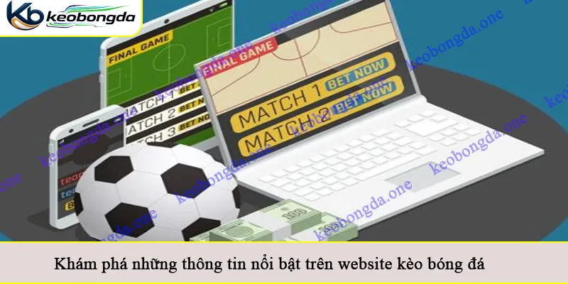 Khám phá những thông tin nổi bật trên website kèo bóng đá