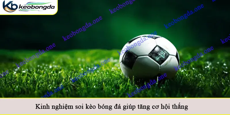 Kinh nghiệm soi kèo bóng đá giúp tăng cơ hội thắng