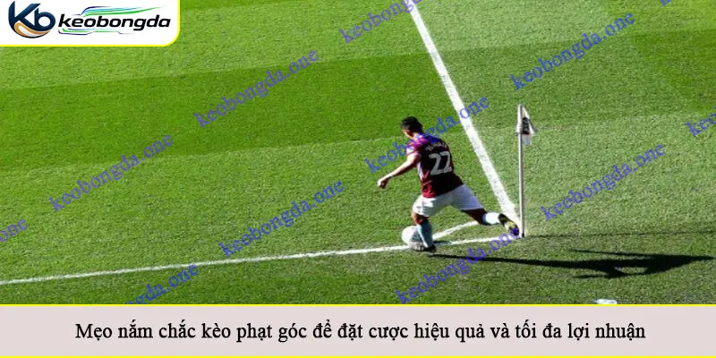 Mẹo nắm chắc kèo phạt góc để đặt cược hiệu quả và tối đa lợi nhuận