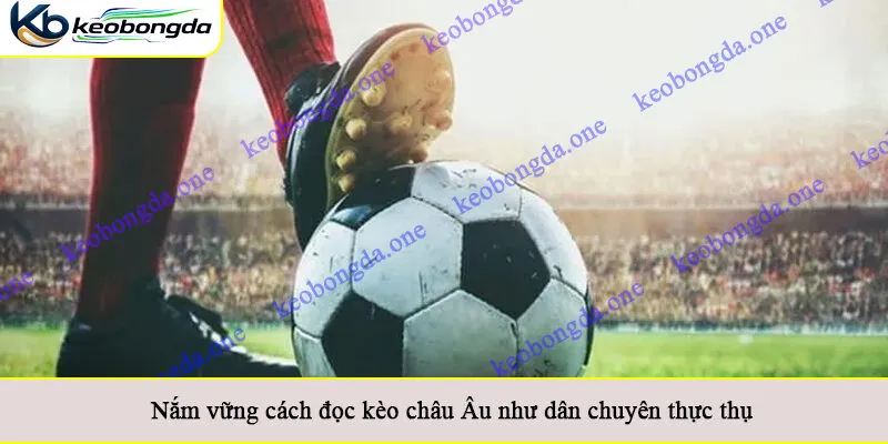 Nắm vững cách đọc kèo châu Âu như dân chuyên thực thụ