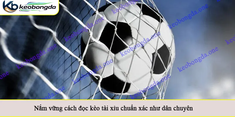 Nắm vững cách đọc kèo tài xỉu chuẩn xác như dân chuyên