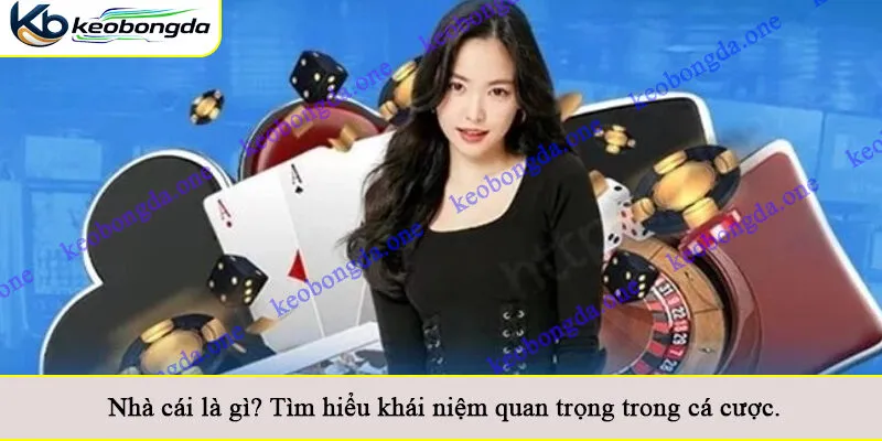 Nhà cái là gì? Tìm hiểu khái niệm quan trọng trong cá cược