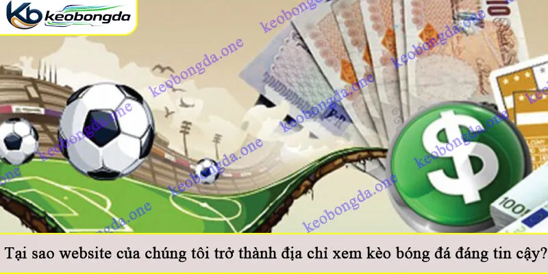 Tại sao website của chúng tôi trở thành địa chỉ xem kèo bóng đá đáng tin cậy?