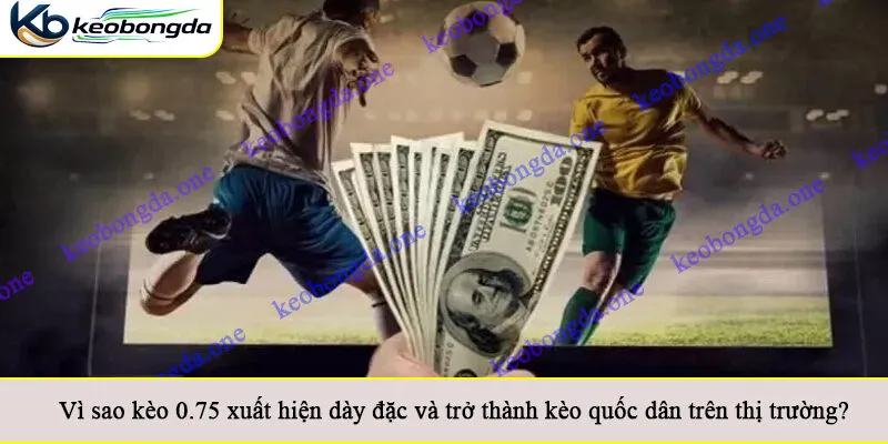 Vì sao kèo 0.75 xuất hiện dày đặc và trở thành kèo quốc dân trên thị trường?