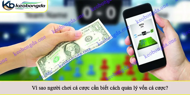 Vì sao người chơi cá cược cần biết cách quản lý vốn cá cược?